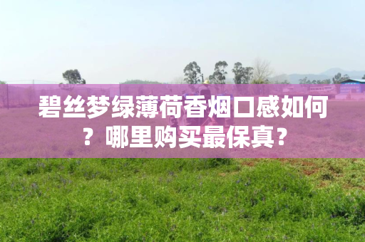 碧丝梦绿薄荷香烟口感如何？哪里购买最保真？