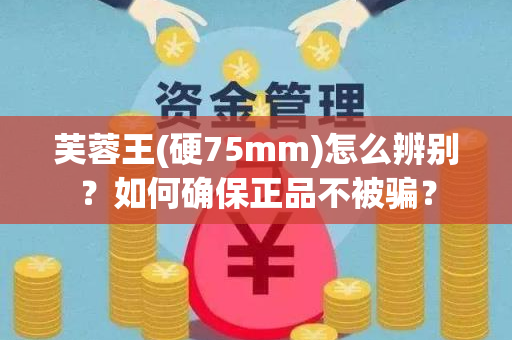 芙蓉王(硬75mm)怎么辨别？如何确保正品不被骗？